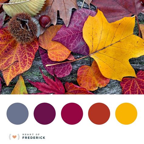 Color Coordination: Matching the Fall Palette