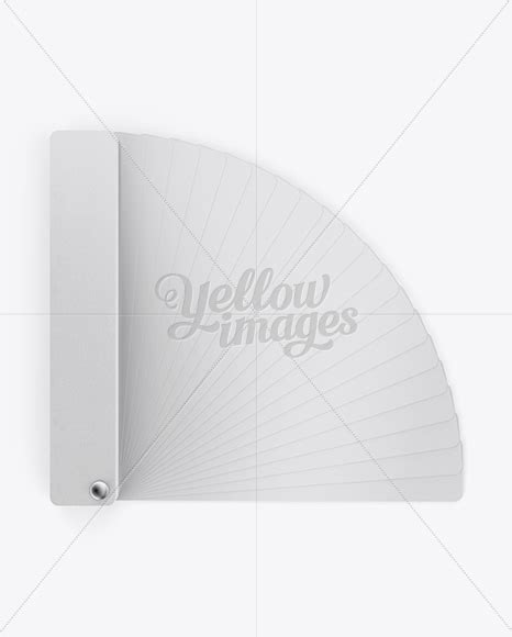 Color Fan Mockup Top View