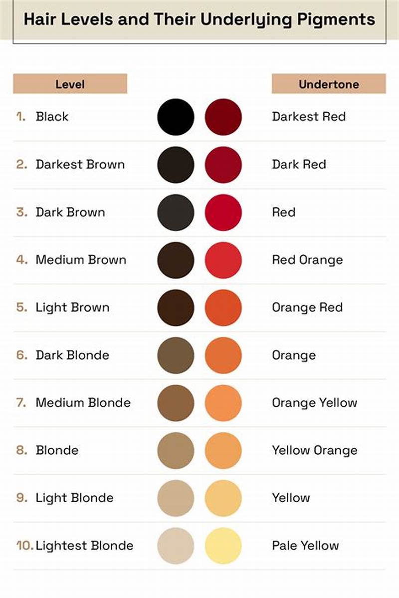 Color Level Chart