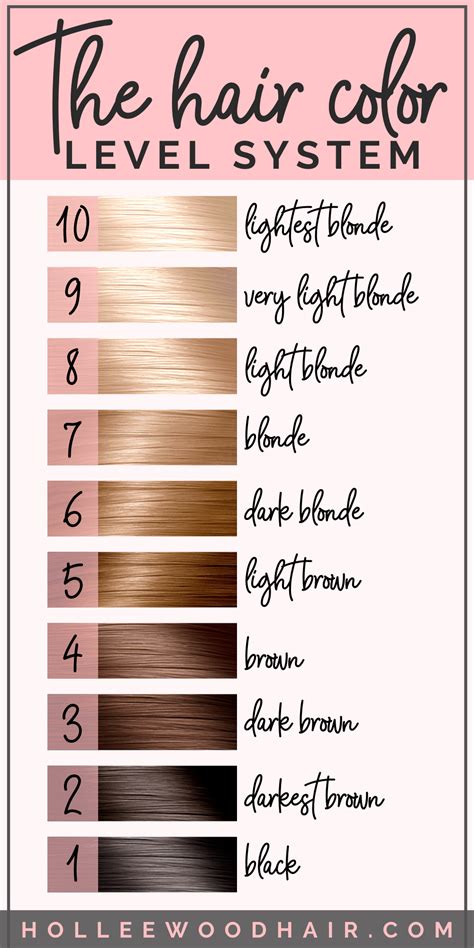 Color Level Chart Hair