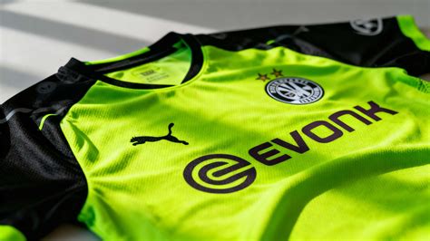 Color Longevity and Maintenance