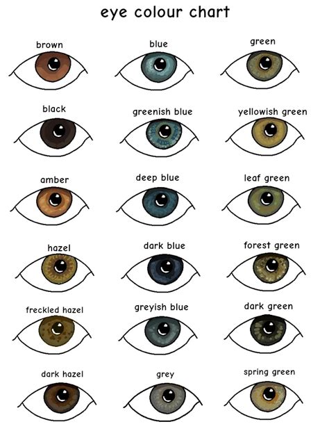 Color Of Eyes Chart