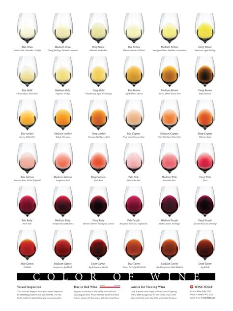 Color Of Wine Chart