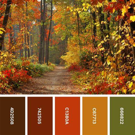 Color Palette for Fall