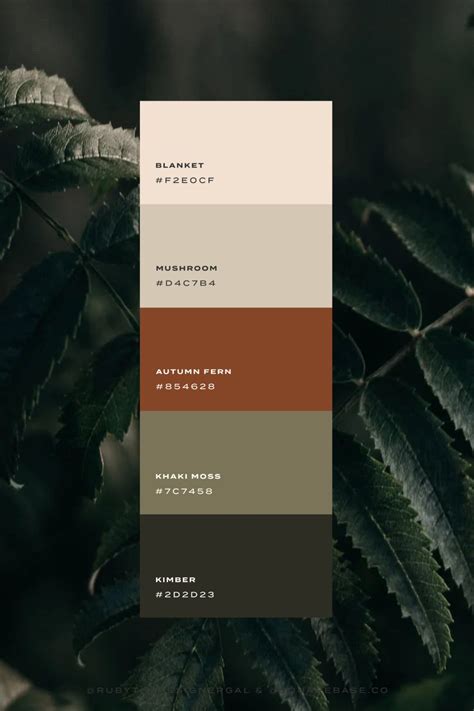 Color Palette of Nature