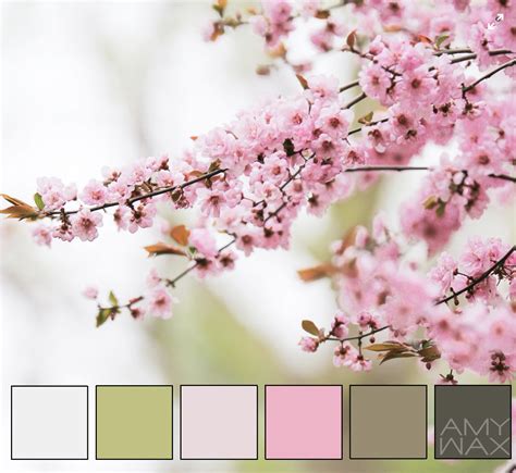 Color Palettes Inspired by Nature