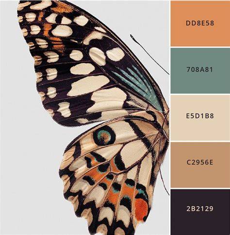 Color