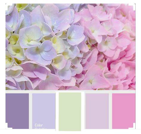 Color Palettes with Hydrangeas