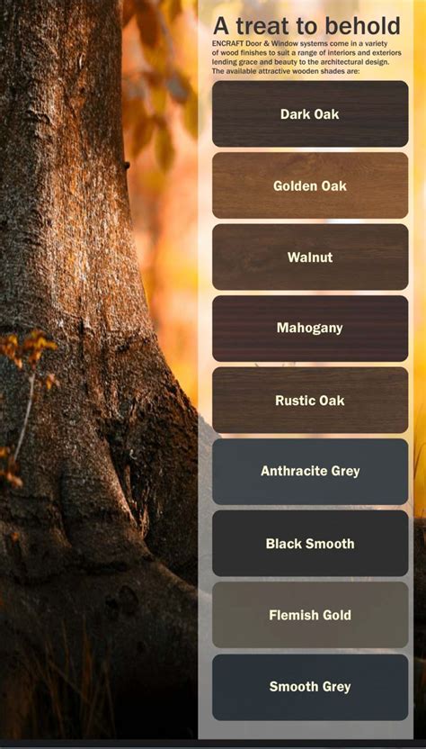 Color Selection and Expertise