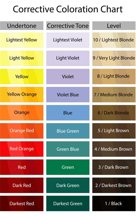 Understanding the Color Theory: What Works on Dark Hair?