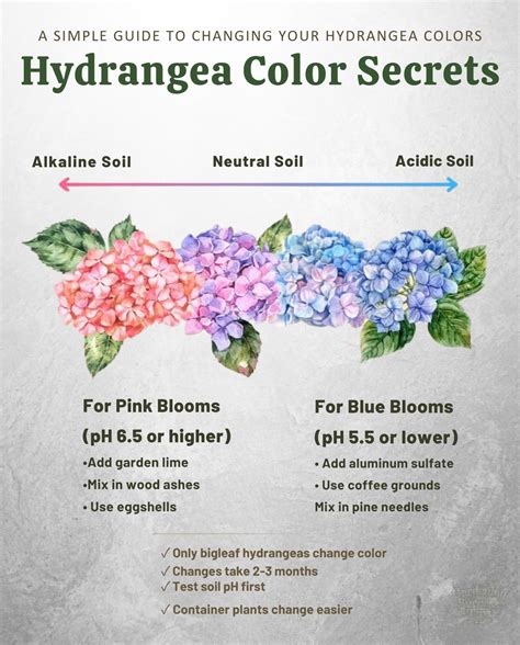 Color changes through the garden