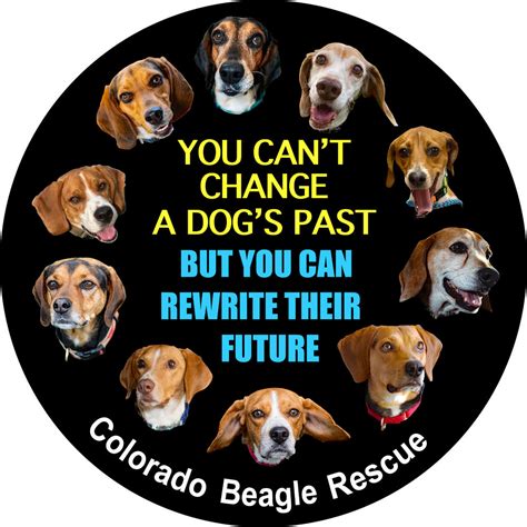 Colorado Beagle Rescue