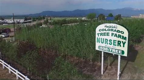 Colorado Tree Farm Commercial