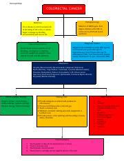 Using Organoids to Understand Colorectal Cancer Mechanisms and Development