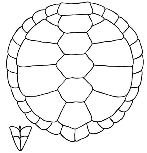 Colored Turtle Shell Template Printable
