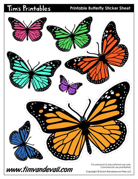 Colorful Butterfly Printable