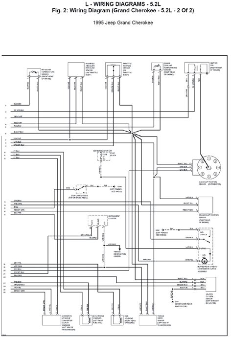 Colorful Connections: Decoding the Rainbow of Wires