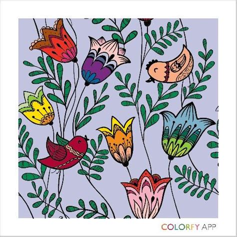 Colorfy: Simple & Relaxing