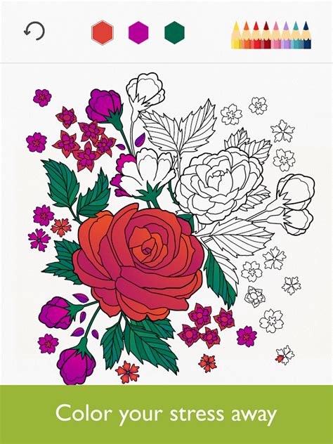 Colorfy: Simple Fun for Everyone