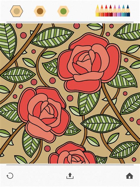 Colorfy: The Relaxing Choice