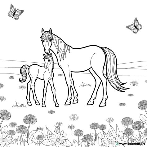 Coloriage Cheval Avec Poulain