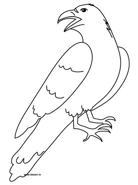 Coloriage Corbeau Trailcat