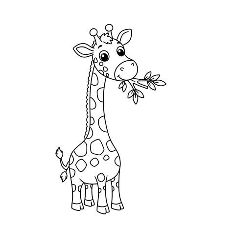 Coloriage De Girafe