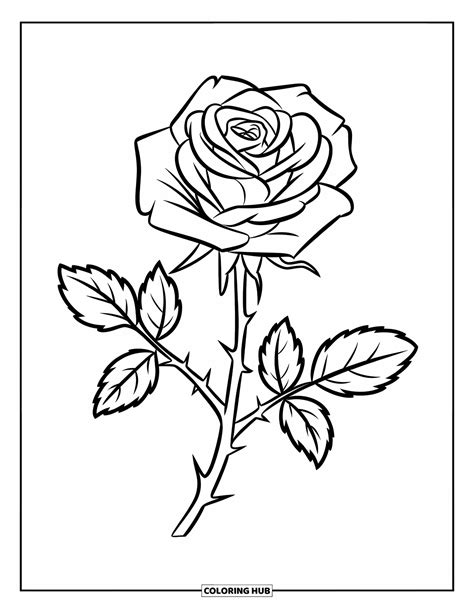 Coloriage De Rose