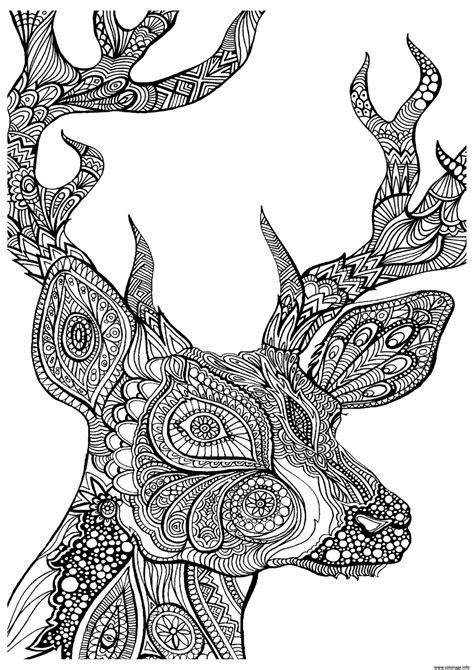 Coloriage Difficile Cerf Zoom