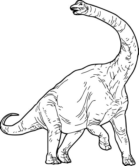 Coloriage Dinosaure Gratuit A Imprimer