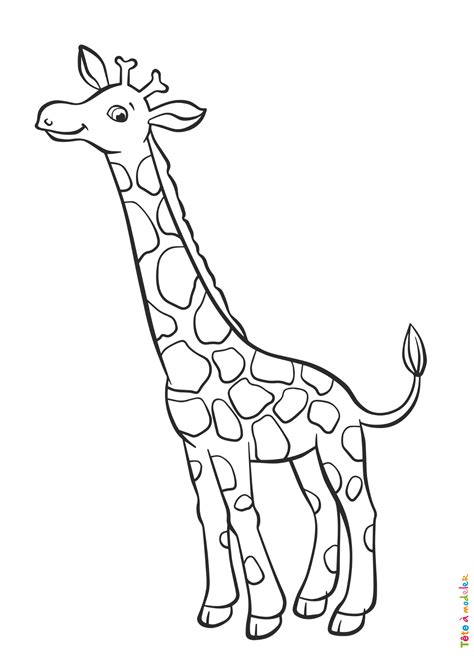 Coloriage Girafe