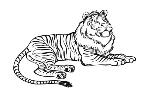 Coloriage Lion Et Tigre