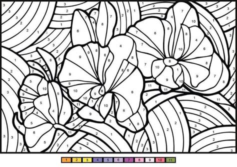 Coloriage Numerote Adulte Application