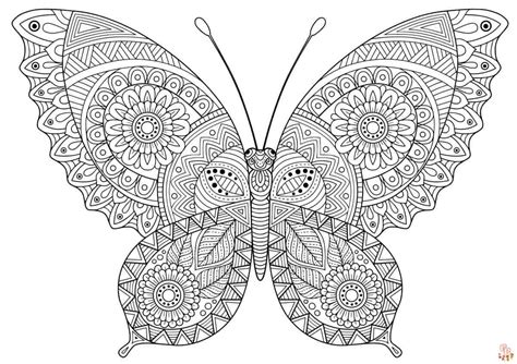 Coloriage Papillon Mandala
