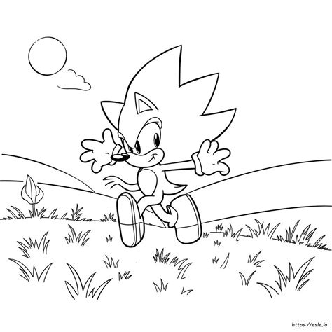 Coloriage Sonic Qui Courthouse