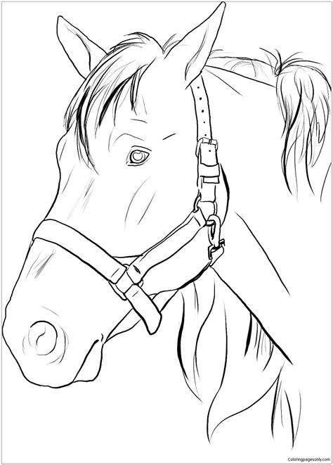 Coloriage Tete De Cheval