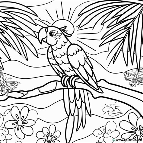 Coloriage Tropical