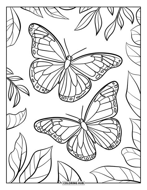 Coloring Butterfly Pages