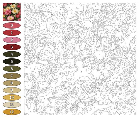 Coloring By Numbers Flowers