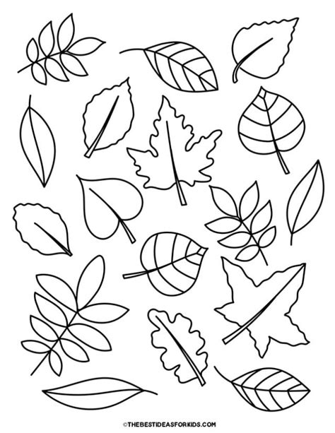 Coloring Leaf Pages