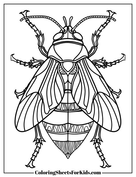 Coloring Page Bug