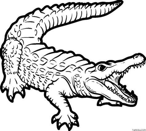 Coloring Page Crocodile