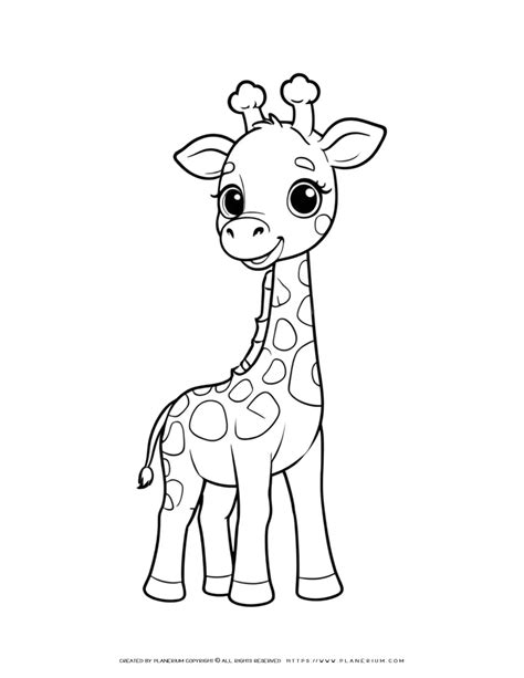Coloring Page For Giraffe
