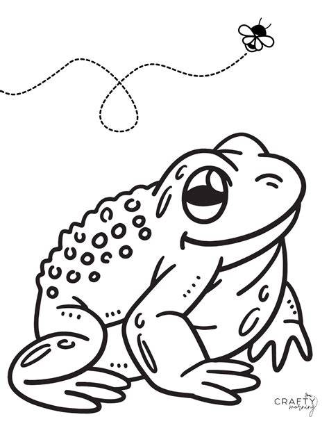Coloring Page Frog