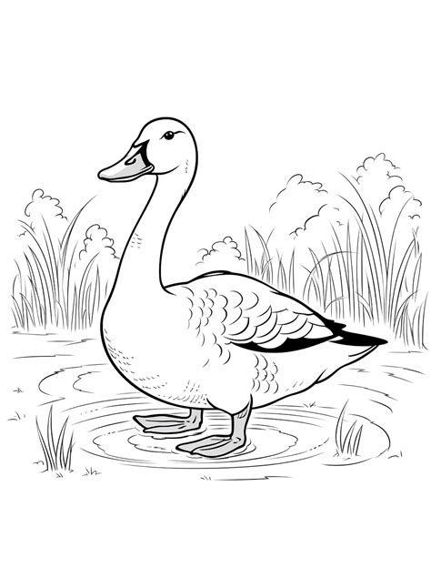 Coloring Page Goose