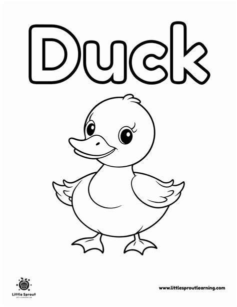 Coloring Page Of A Duck