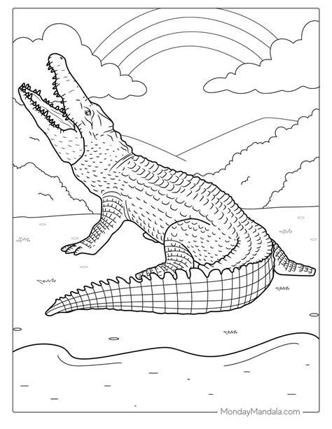Coloring Page Of Crocodile