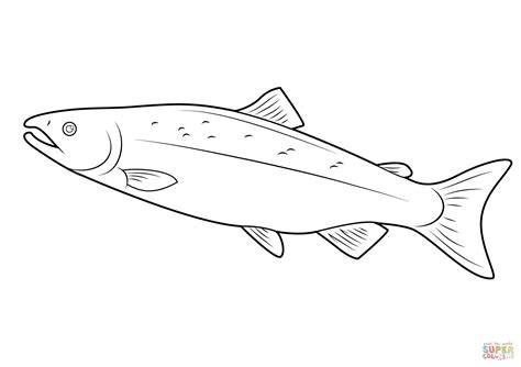 Coloring Page Salmon