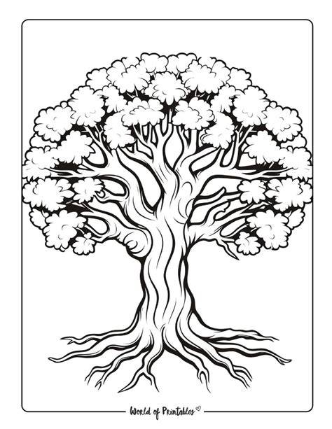 Coloring Page Tree