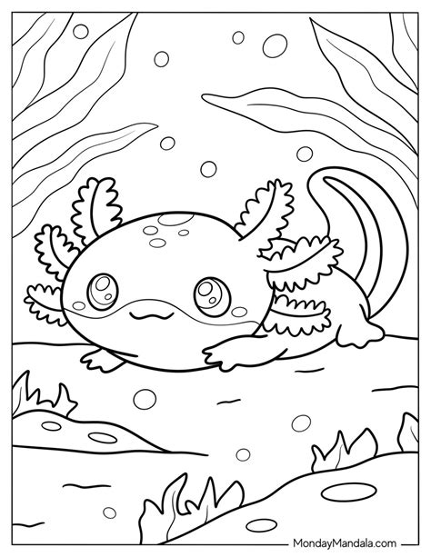 Coloring Pages Axolotl